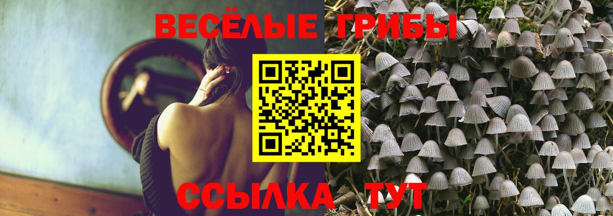 Прокопьевск  наркота  Вход с VPN  Псилоцибиновые грибы мицелий  Псилоцибиновые грибы Cubensis 